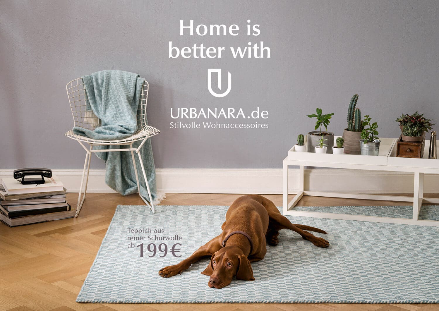 Das Plakat von Urbanara zur Markenkampagne "Home is better with U" zeigt einen Hund auf einem Teppich schlafend.