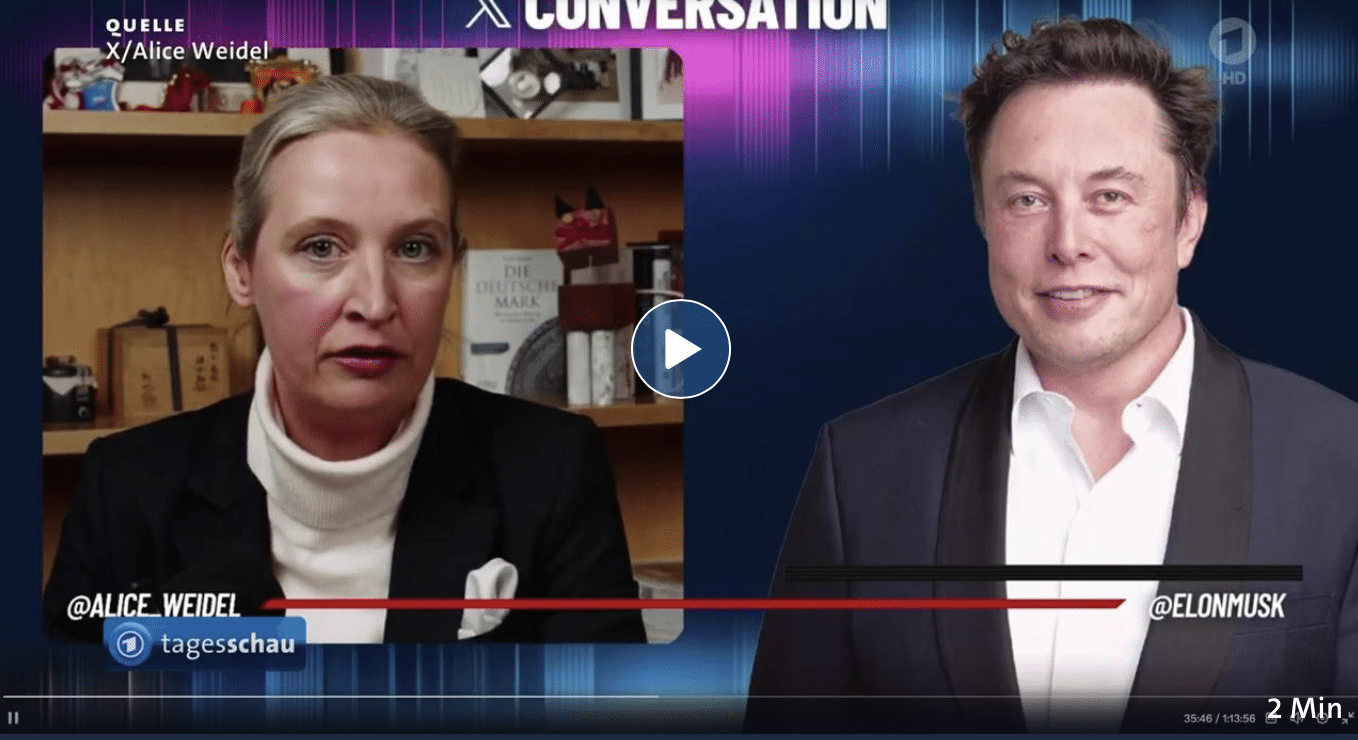 Gespräch Weidel x Musk am 9.1.2025